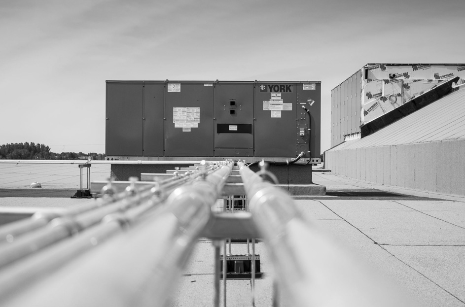 translation not found